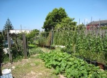 Kwikfynd Vegetable Gardens
oatley